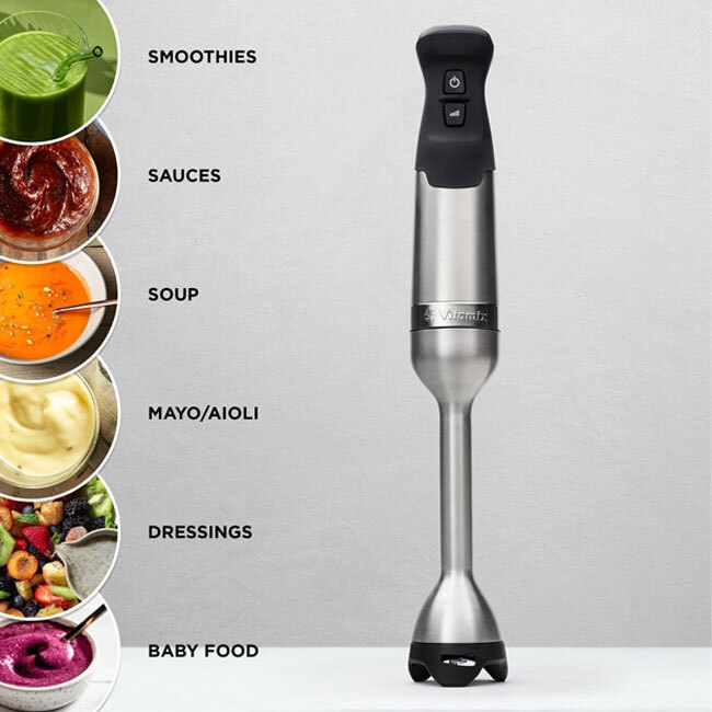 Vitamix 5-Speed Immersion Blender