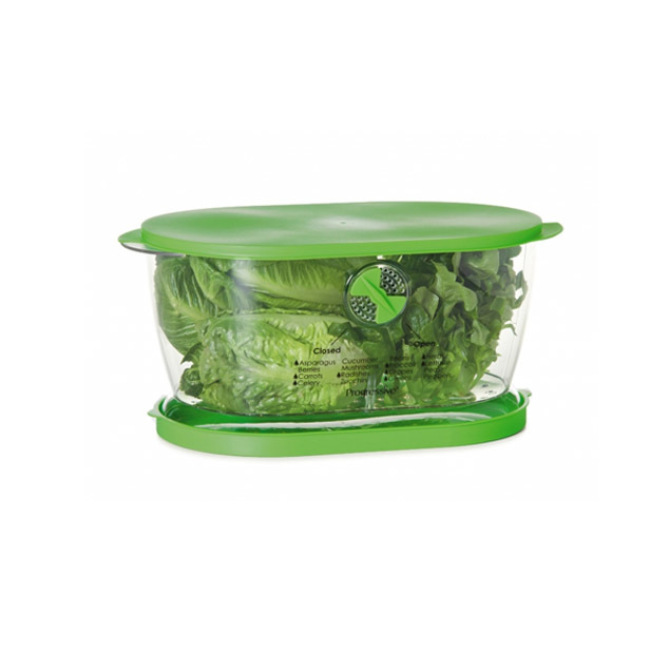 Salad Saver Container Bowl